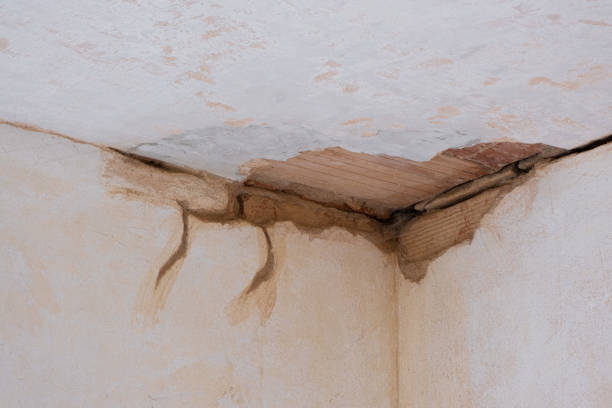 Best Water damage restoration experts  in Sunnyvale, TX