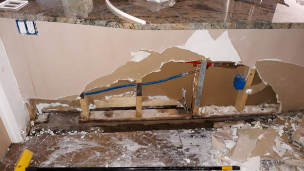 Best 24/7 water damage repair  in Sunnyvale, TX