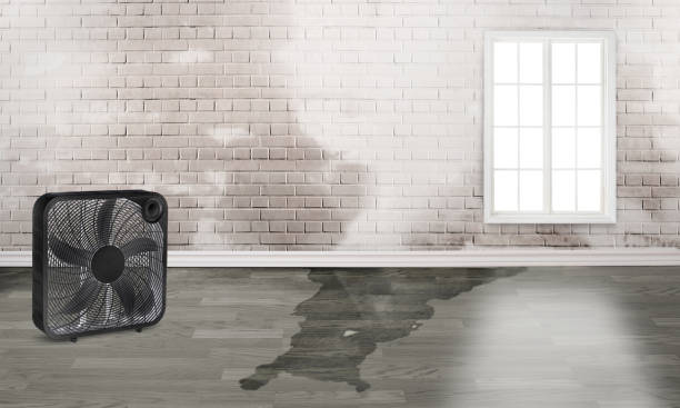  Sunnyvale, TX Water damage restoration Pros