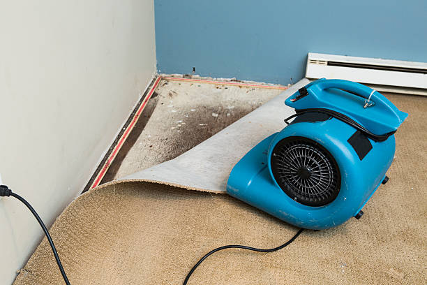 Best Water damage contractors near me  in Sunnyvale, TX